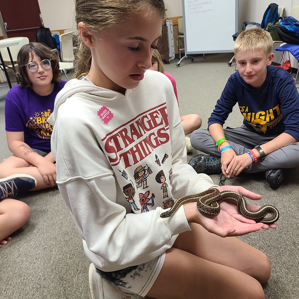 Humanity and the natural world News, Sports, Jobs Observer Today